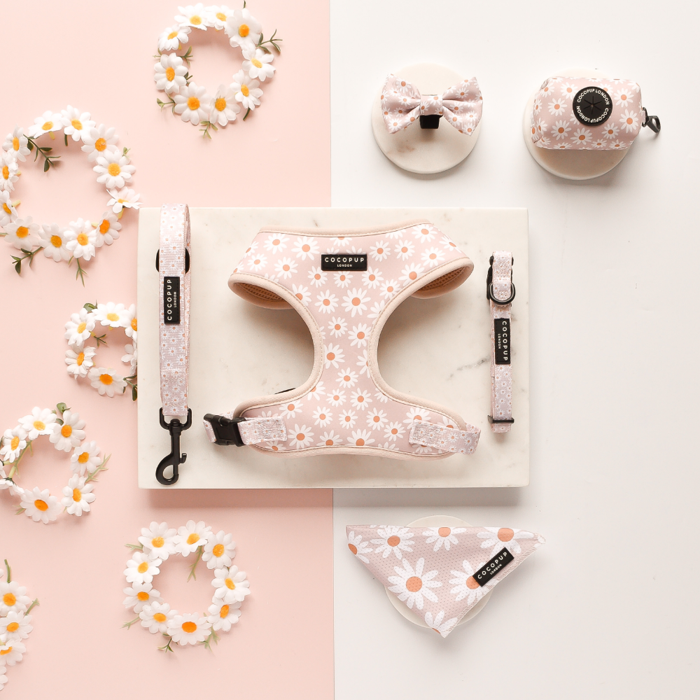 Cocopup Daisy Chain Collar: Large