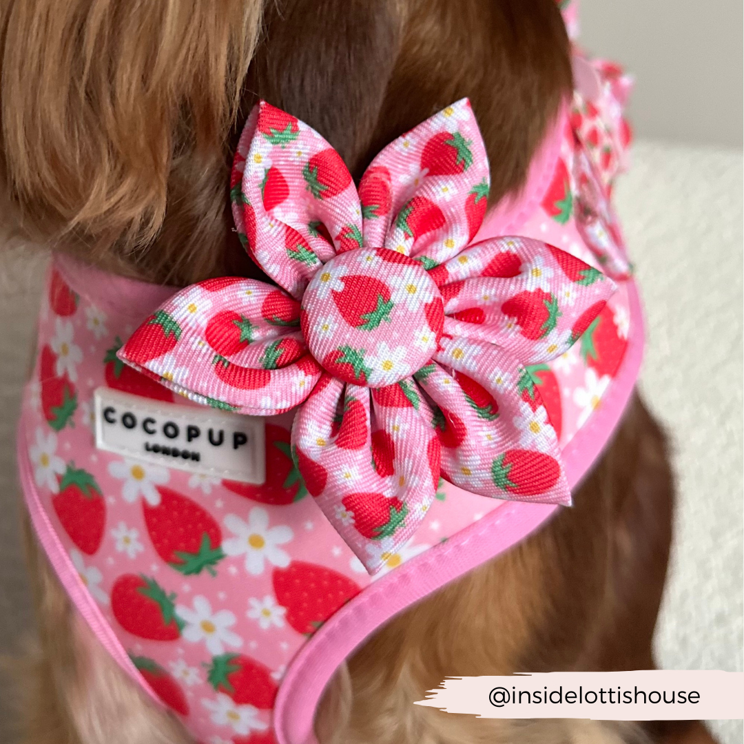 Cocopup Pupberry Fields Collar Flower