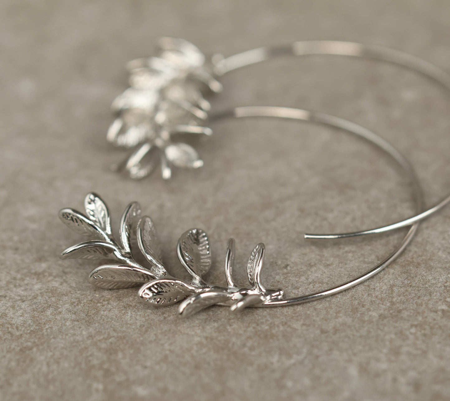 Rosemary Botanical Leaf Hoop Earrings : Silver
