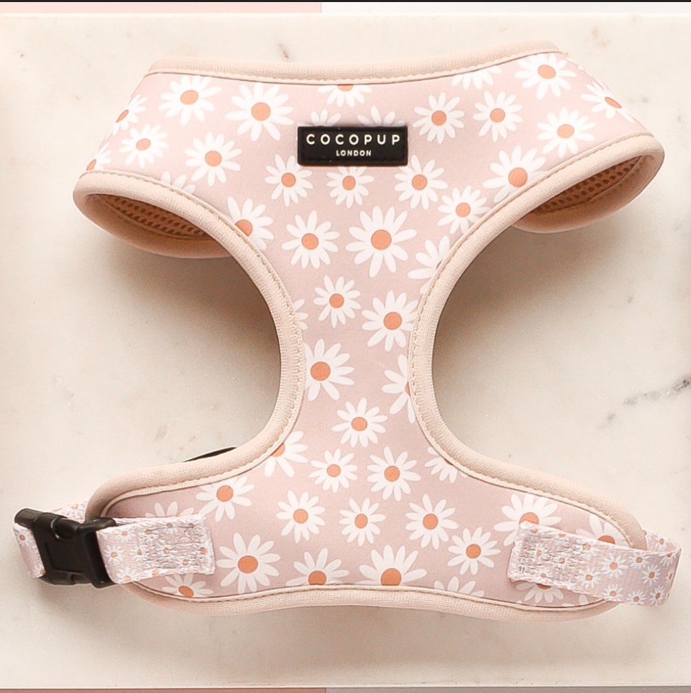 Cocopup Daisy Chain Adjustable Neck Harness: M