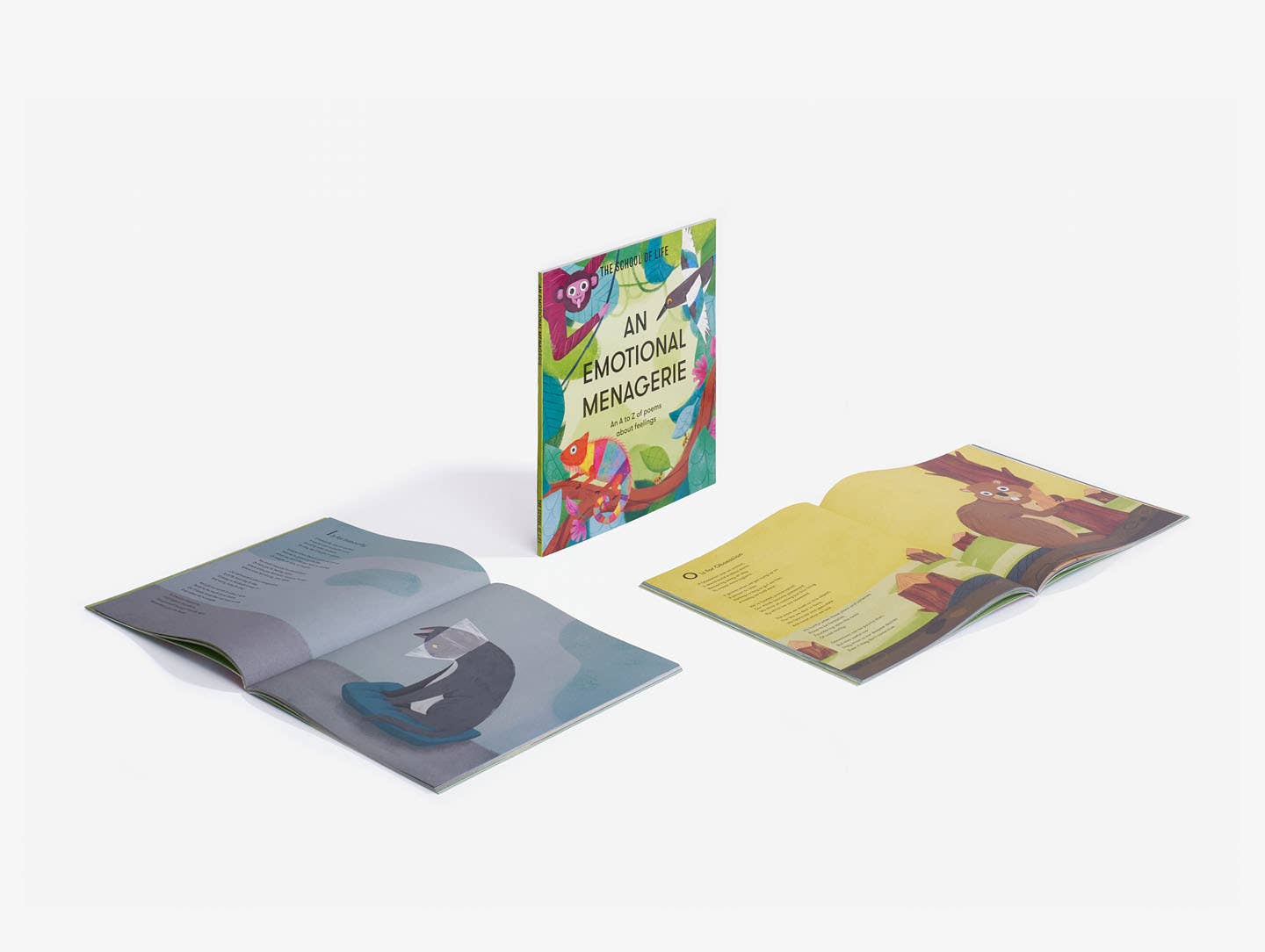 An Emotional Menagerie, Kids Emotions Guide Book