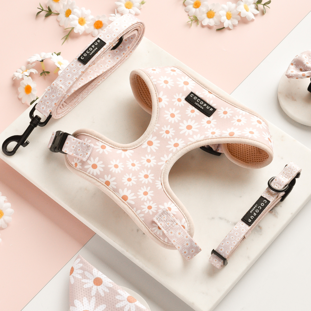 Cocopup Daisy Chain Collar: Large