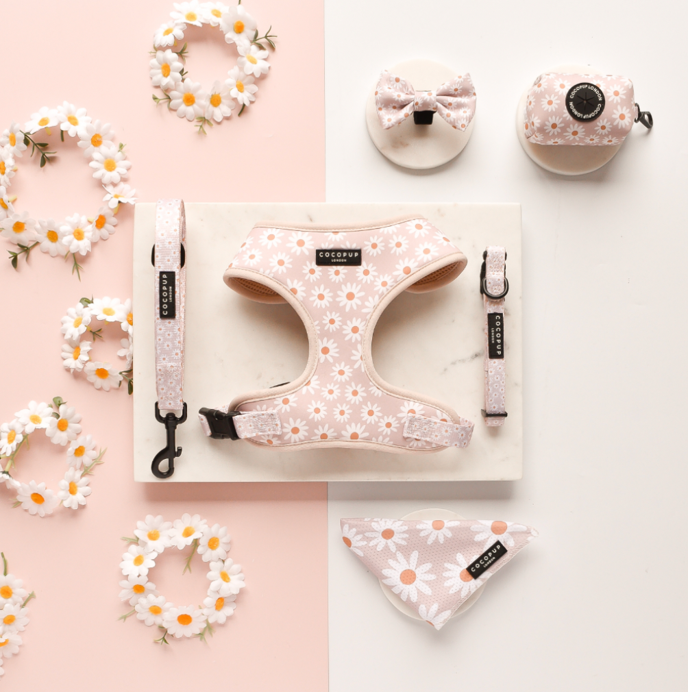 Cocopup Daisy Chain Adjustable Neck Harness: M