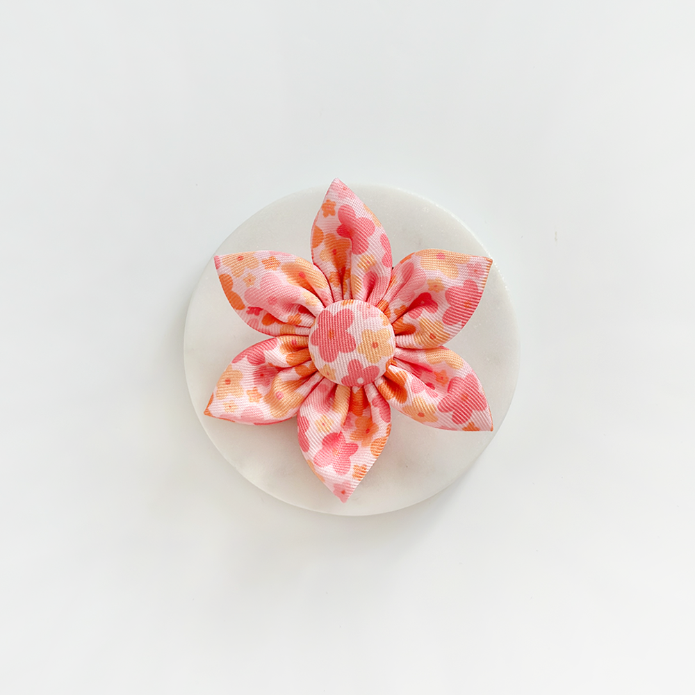 Cocopup Summer Bloom Collar Flower