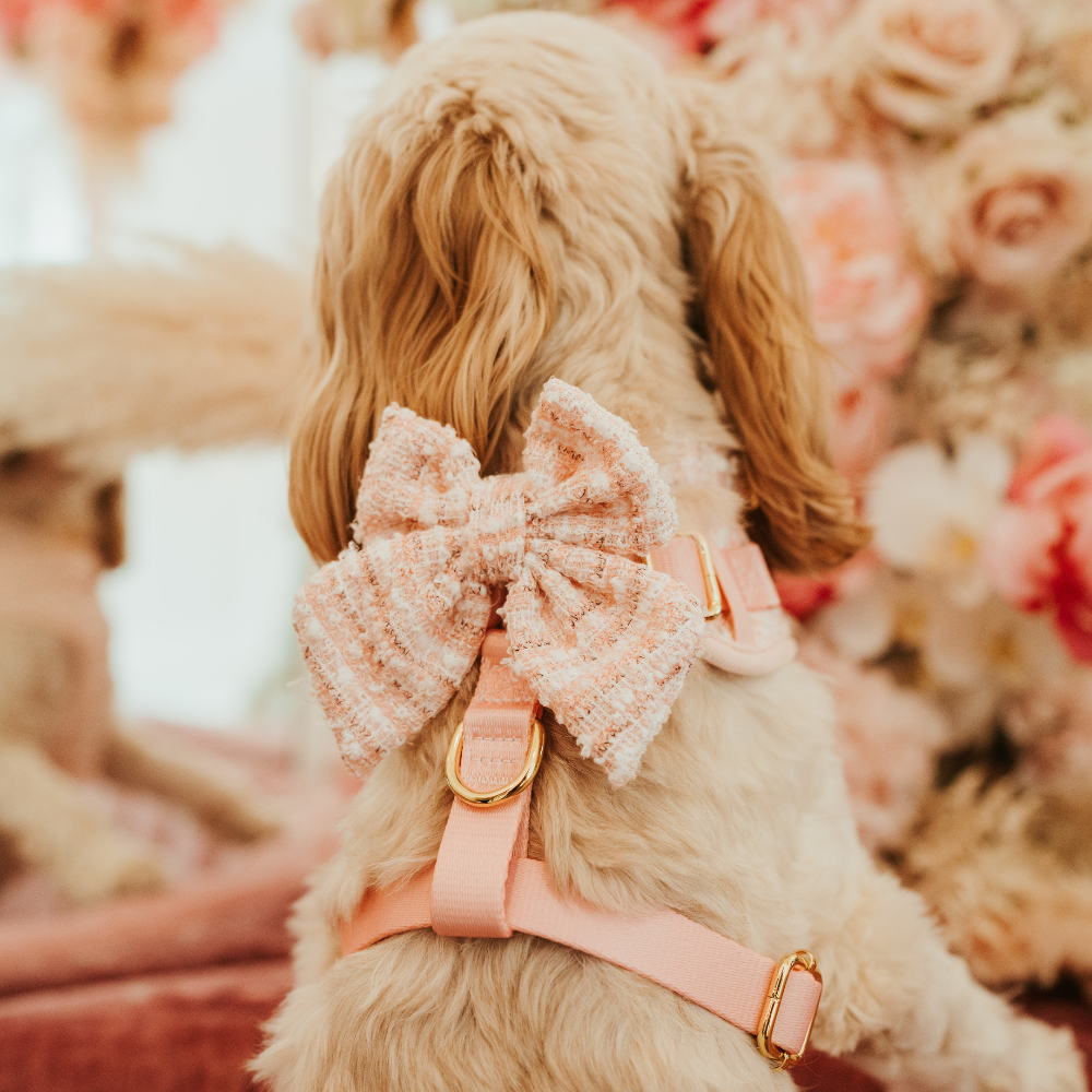 Cocopup Pink Textured Tweed Sailor Bow Tie