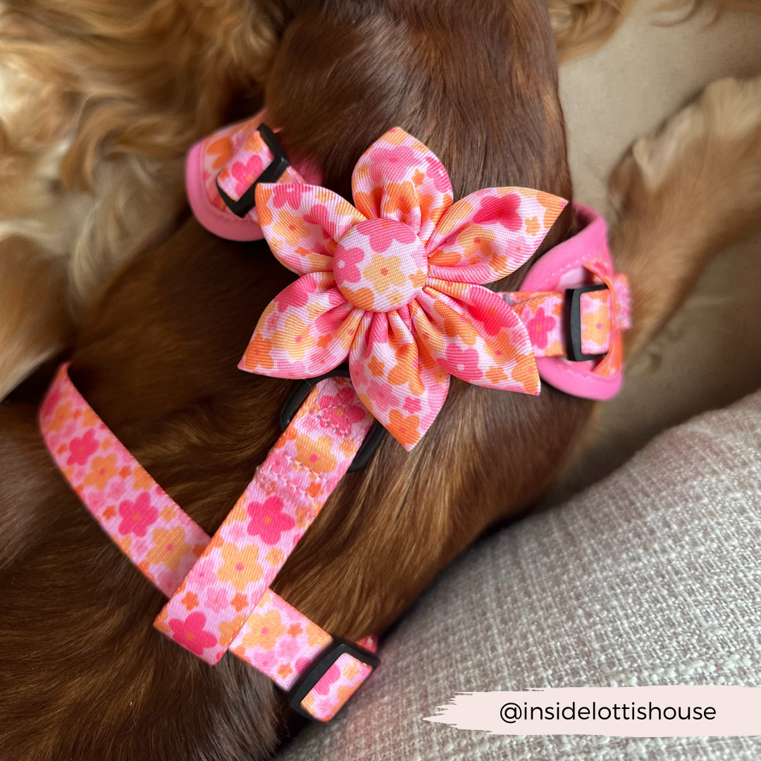 Cocopup Summer Bloom Collar Flower