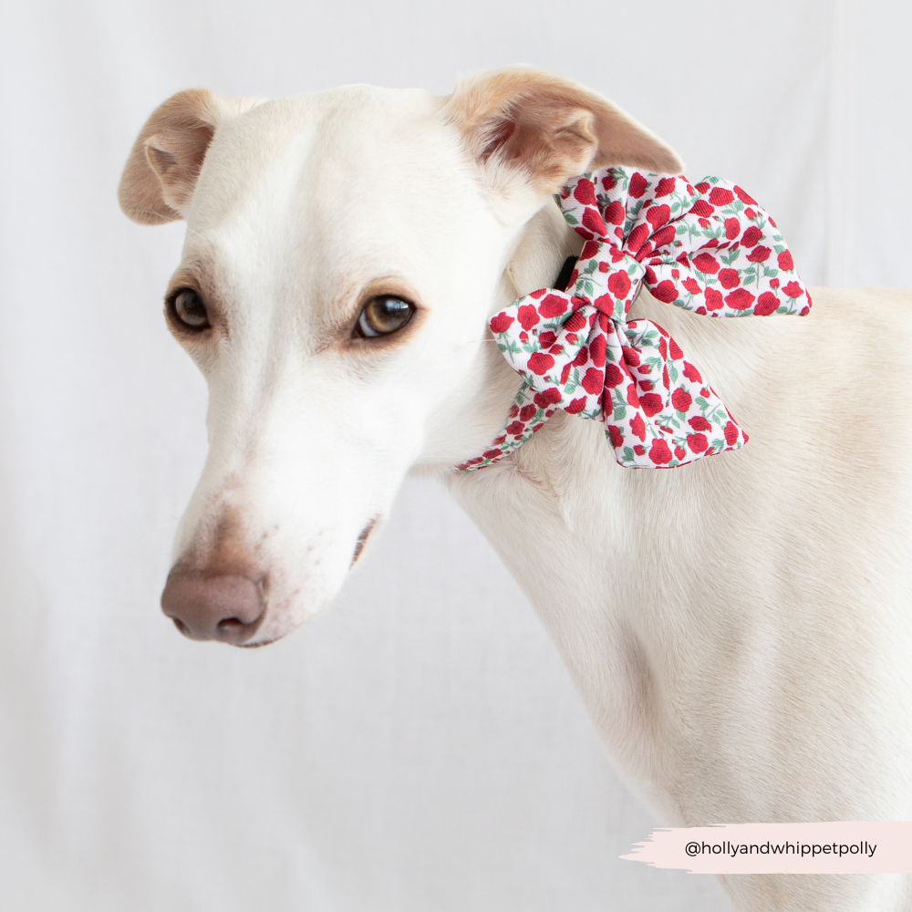 Cocopup Barkquet of Roses Sailor Bow Tie