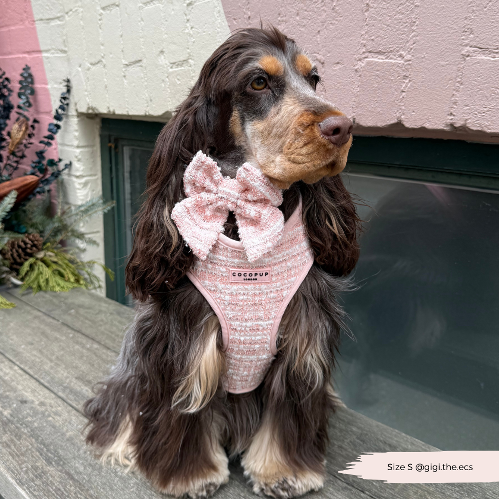 Cocopup Pink Textured Tweed Sailor Bow Tie