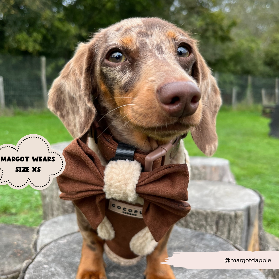 Cocopup Brown Aviator Adjustable Neck Harness: Medium