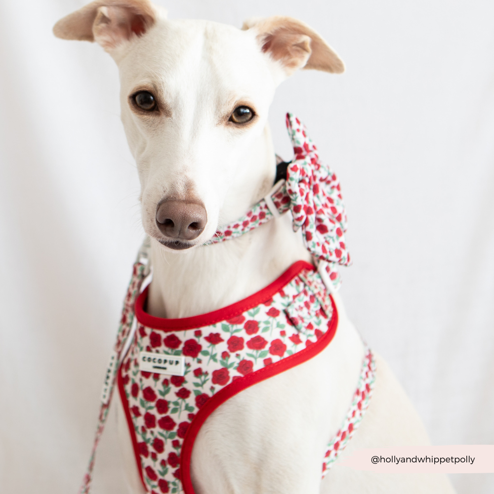 Cocopup Barkquet of Roses Sailor Bow Tie