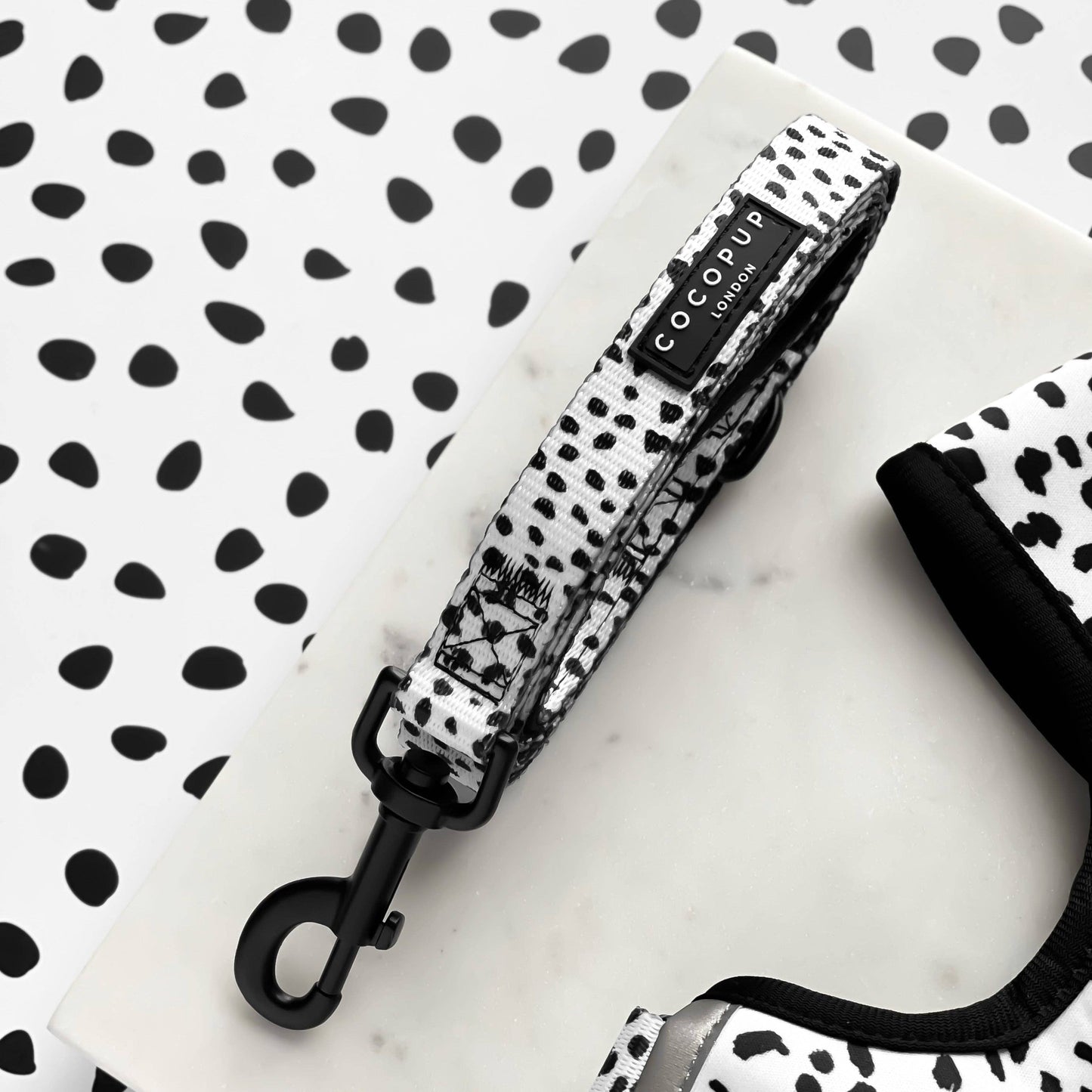 Cocopup Monochrome Spots Lead