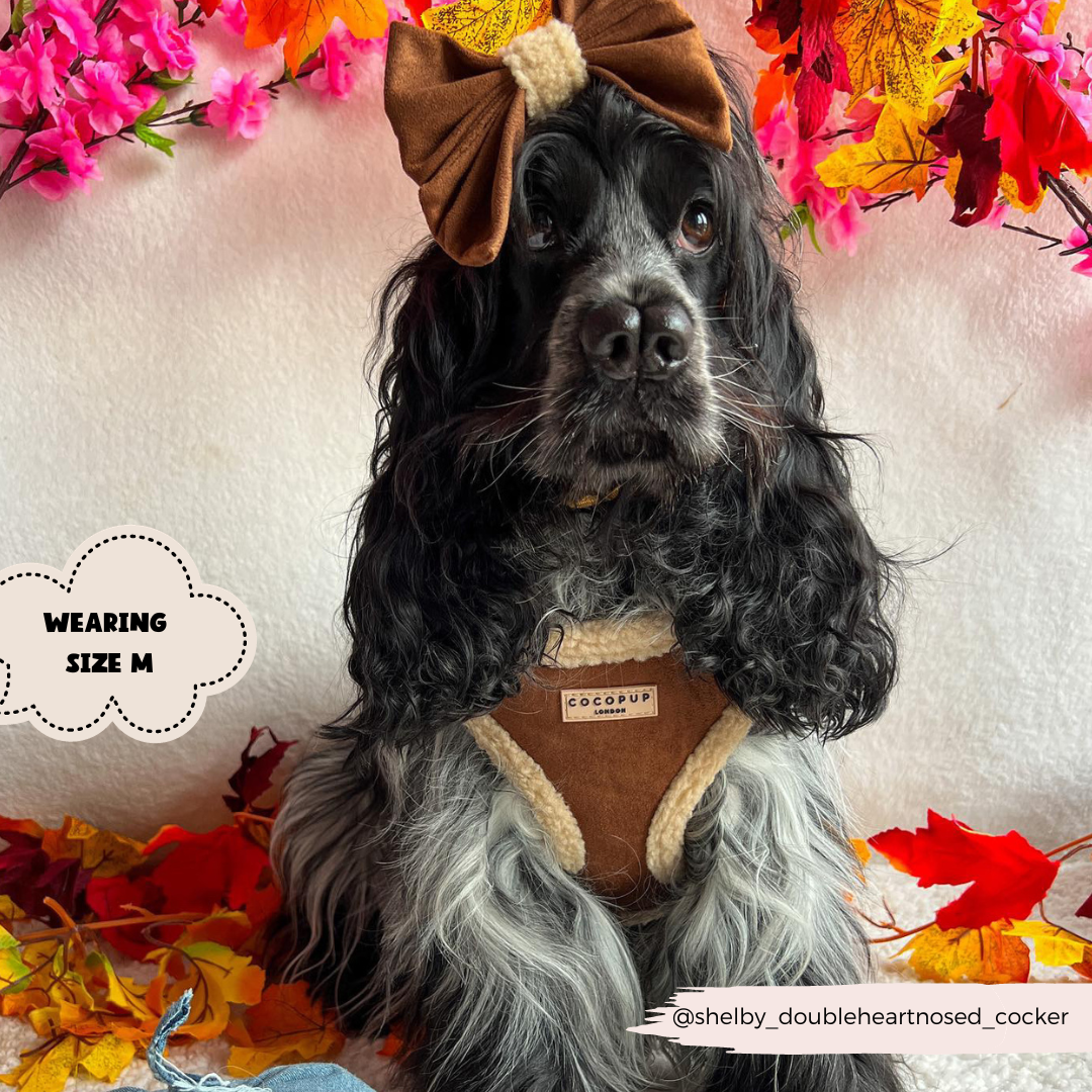 Cocopup Brown Aviator Adjustable Neck Harness: Medium