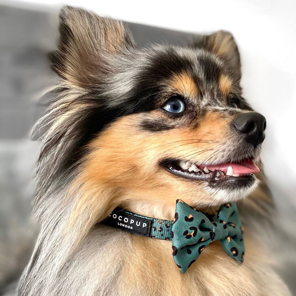 Cocopup Bow Tie Khaki Leopard