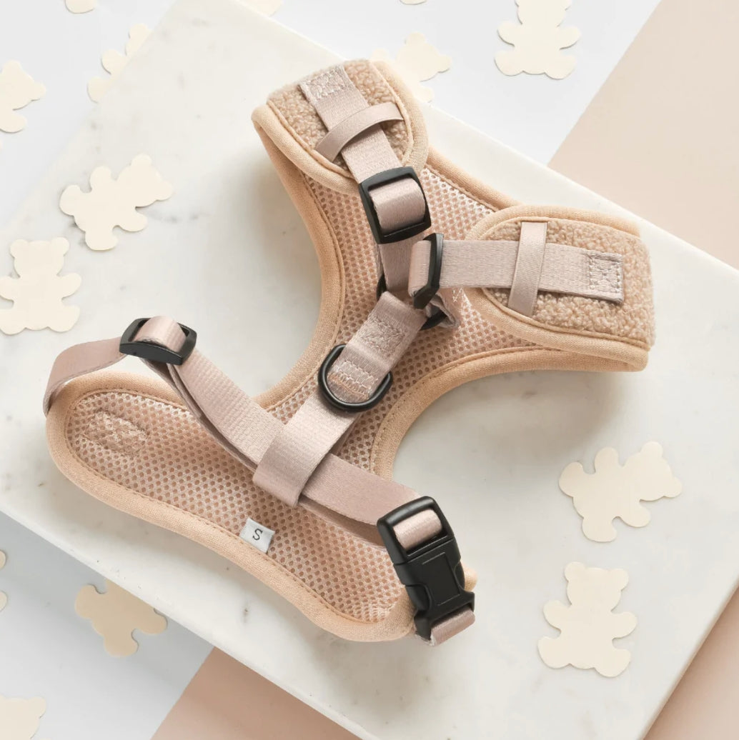 Cocopup Harness Teddy Medium