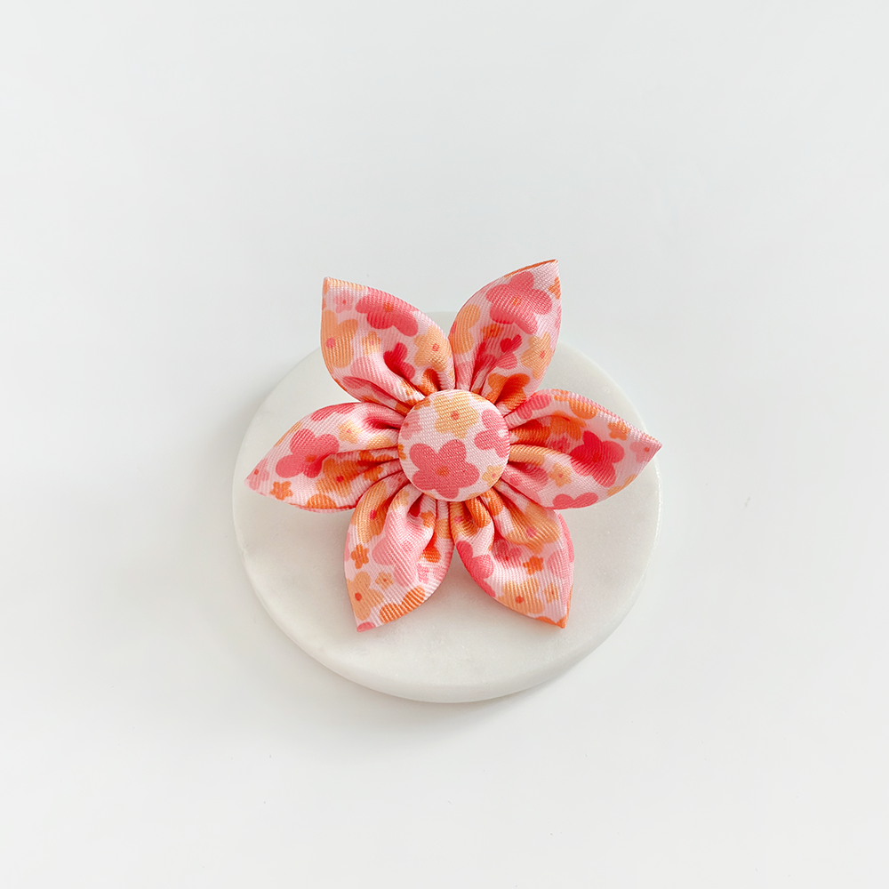 Cocopup Summer Bloom Collar Flower
