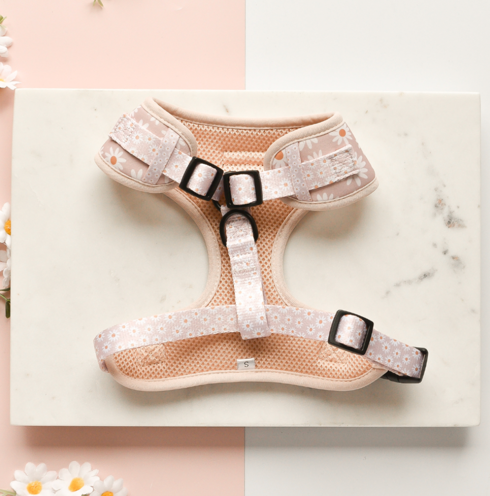 Cocopup Daisy Chain Adjustable Neck Harness: M