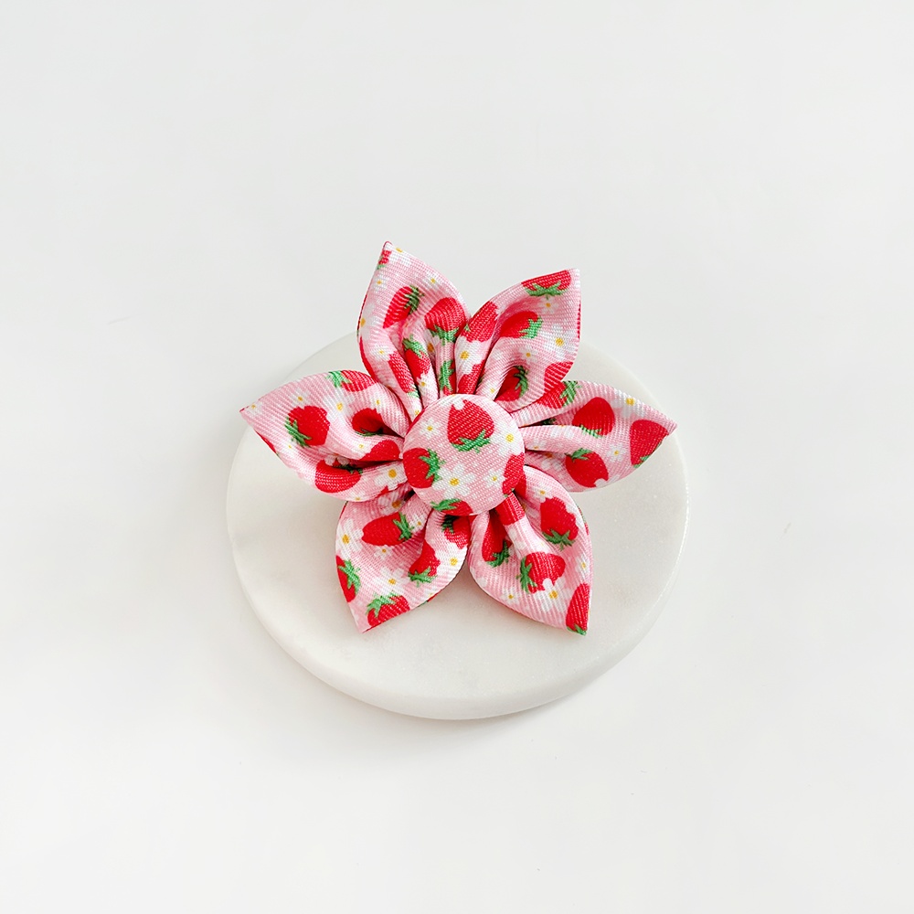 Cocopup Pupberry Fields Collar Flower