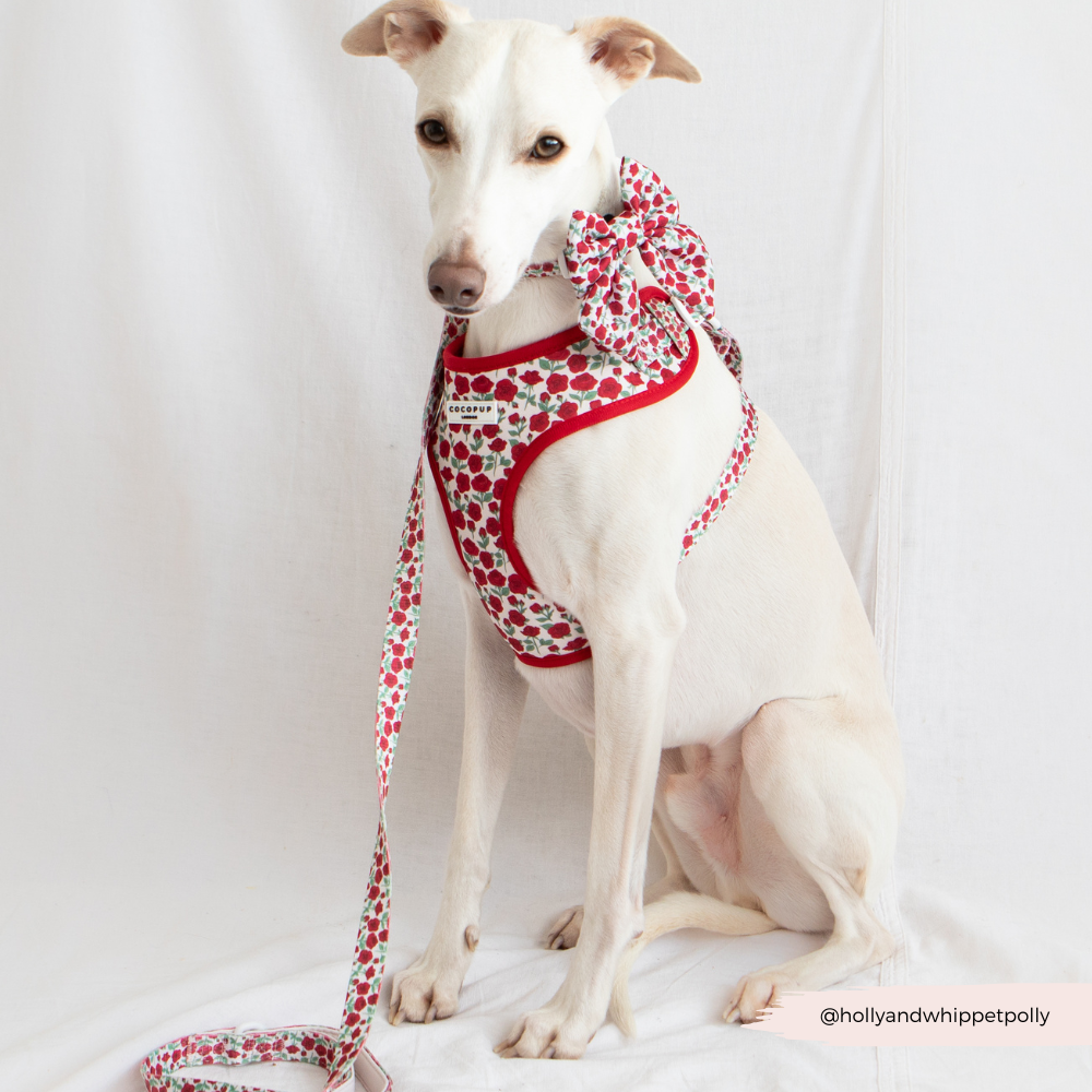 Cocopup Barkquet of Roses Sailor Bow Tie
