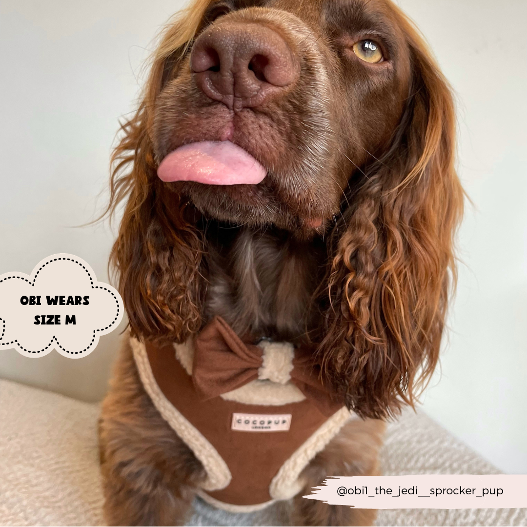 Cocopup Brown Aviator Adjustable Neck Harness: Medium