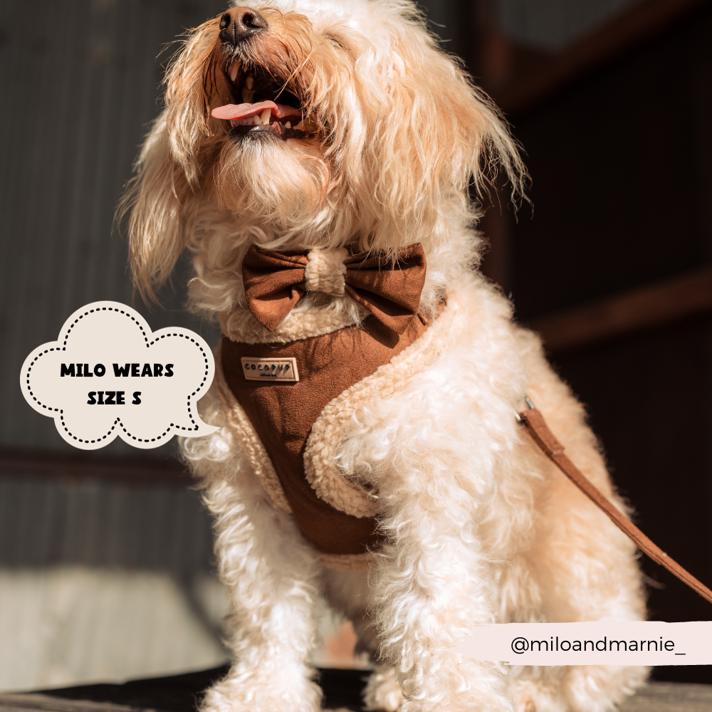 Cocopup Brown Aviator Adjustable Neck Harness: Medium