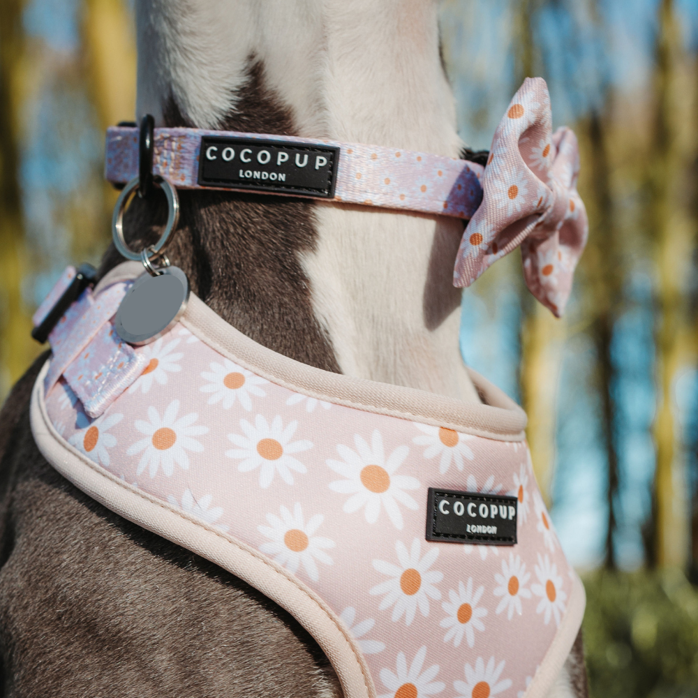 Cocopup Daisy Chain Collar: Large