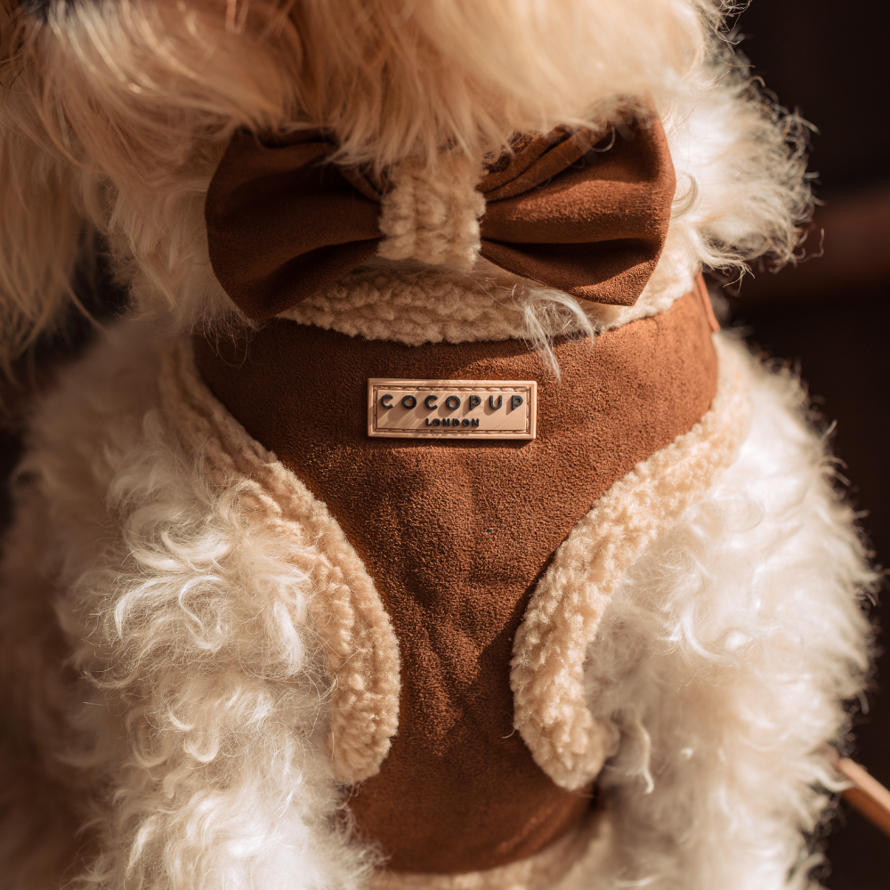 Cocopup Brown Aviator Adjustable Neck Harness: Medium
