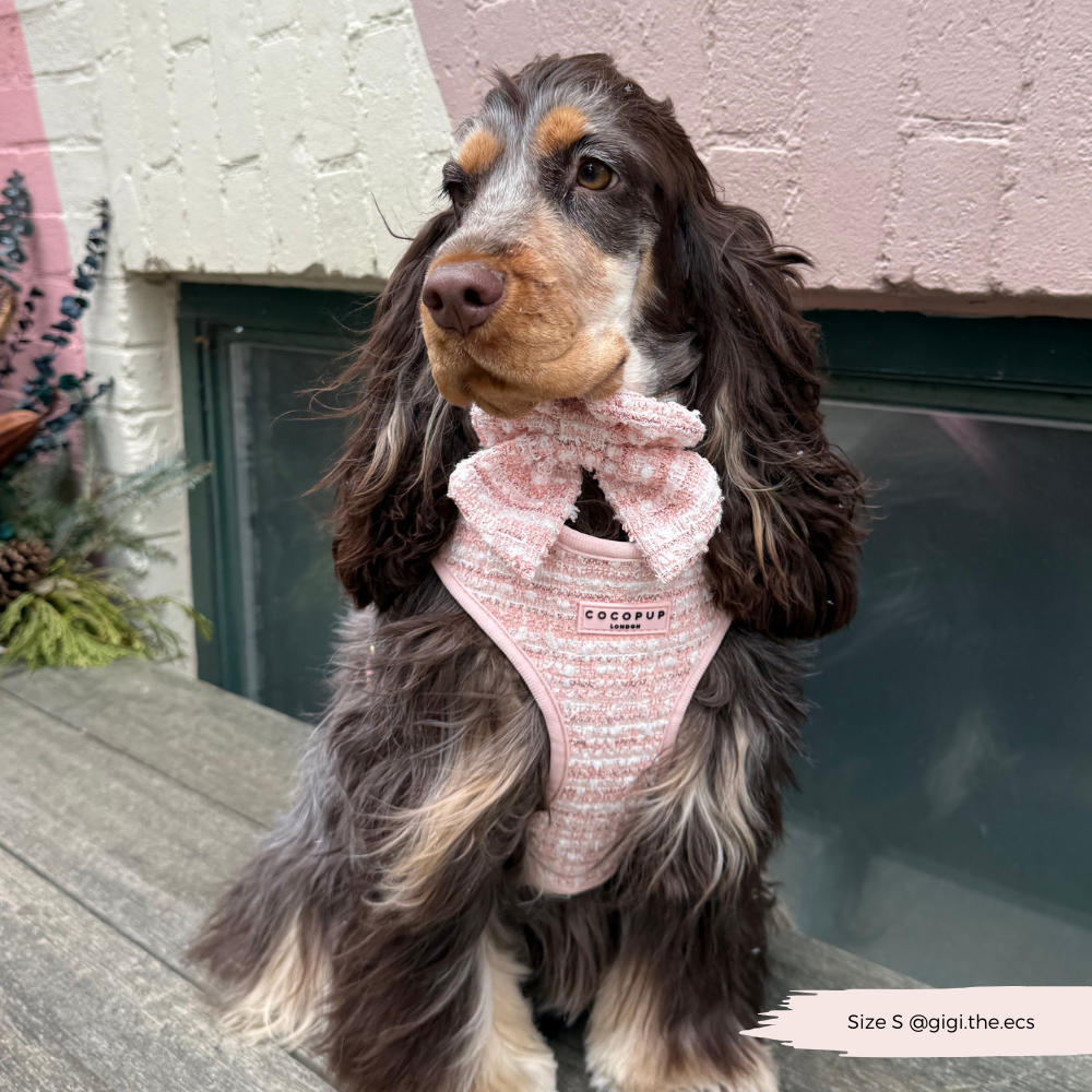 Cocopup Pink Textured Tweed Sailor Bow Tie
