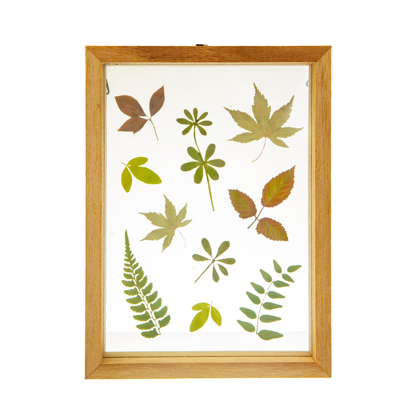 Sass and Belle Flower Frame