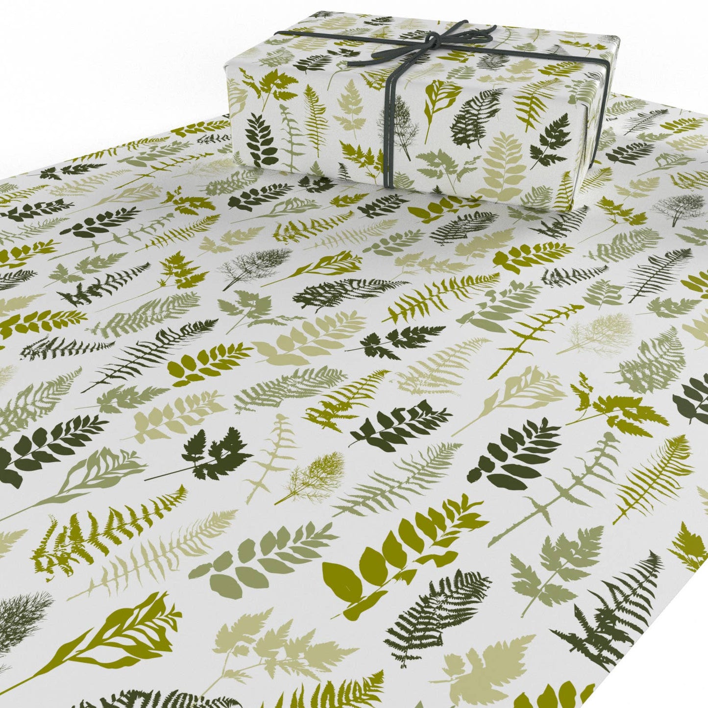 House Ferns  • ECO Friendly  • UK Made  • Made in the UK