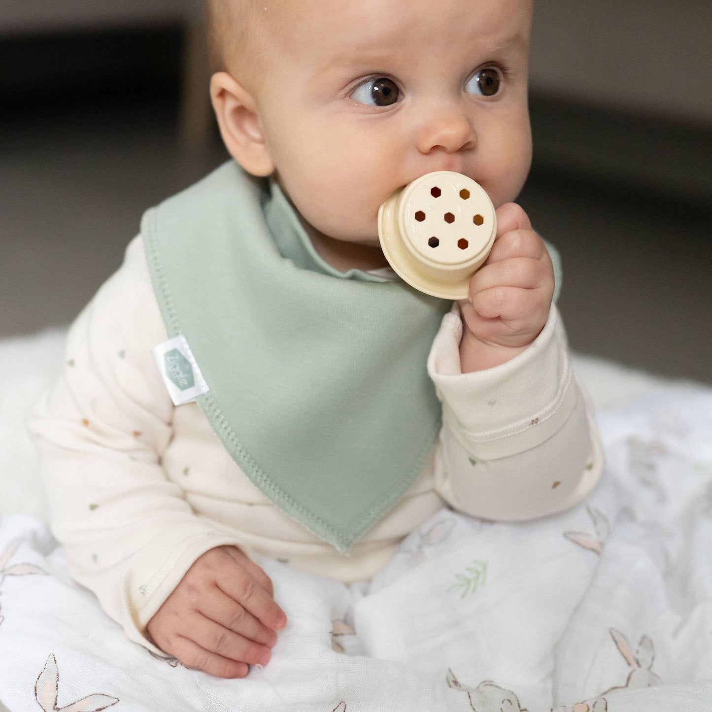 Sagewood Nest bib set
