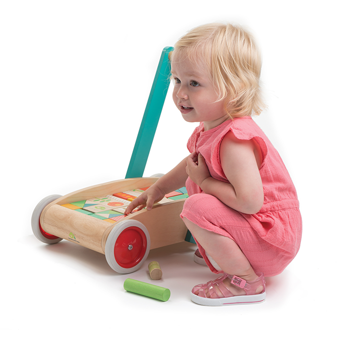 Baby Block Walker Trolley