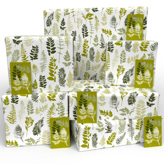 House Ferns  • ECO Friendly  • UK Made  • Made in the UK