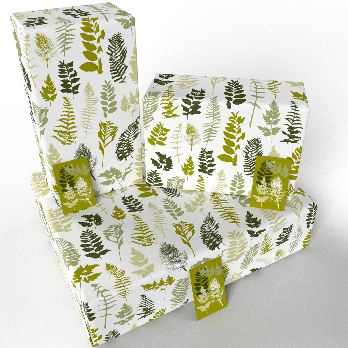 House Ferns  • ECO Friendly  • UK Made  • Made in the UK