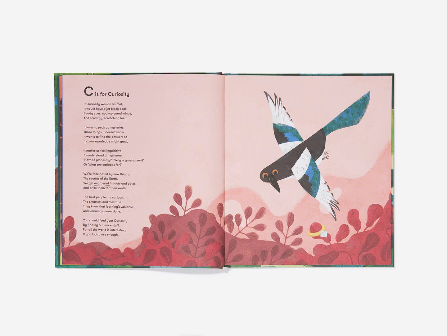 An Emotional Menagerie, Kids Emotions Guide Book