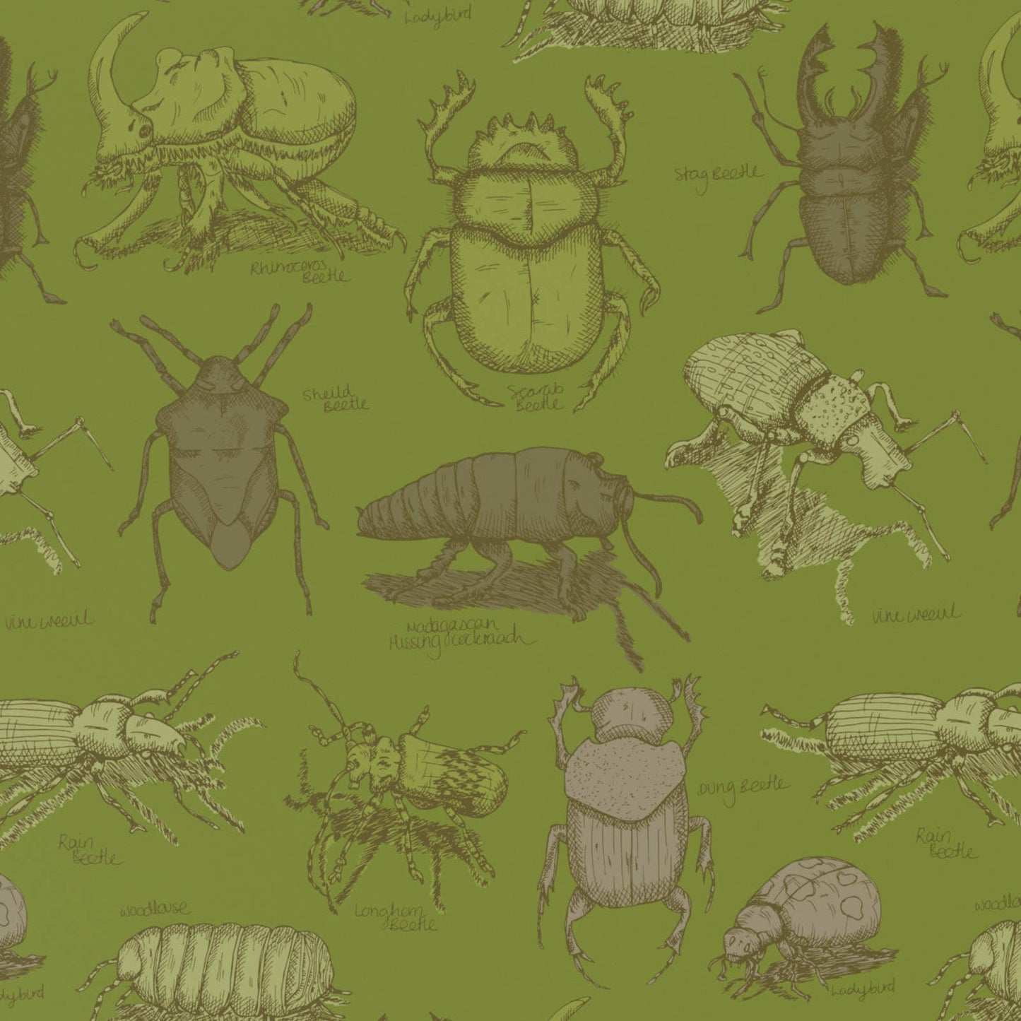 Green Beetles Wrapping Paper • ECO Friendly • UK Made