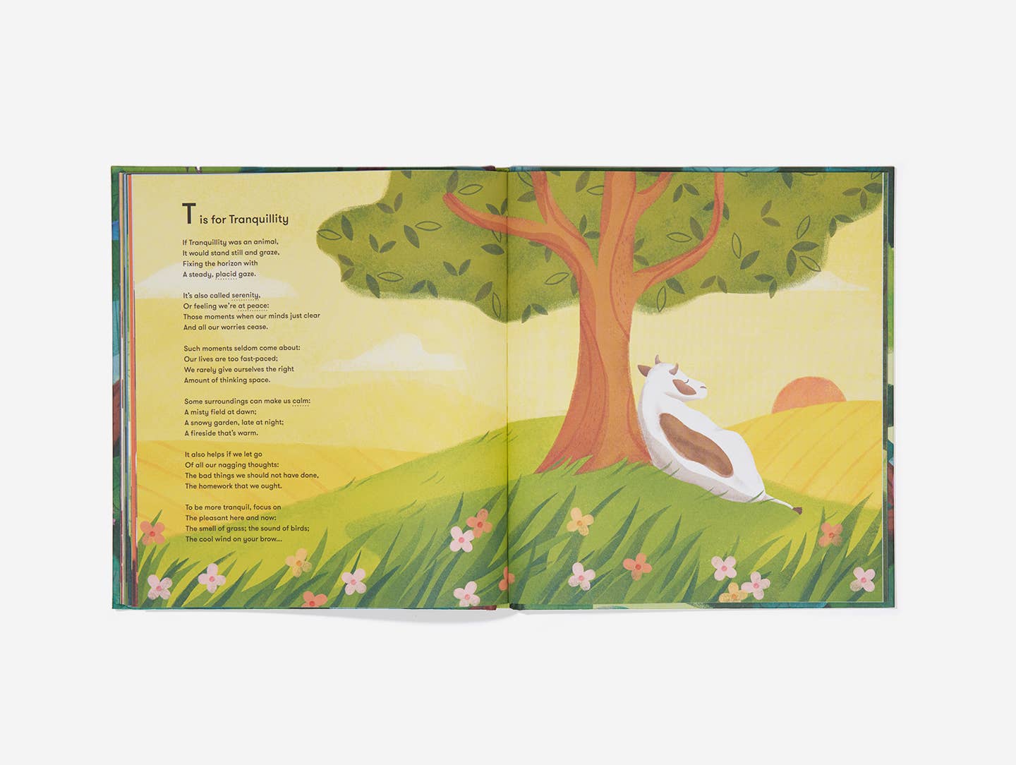 An Emotional Menagerie, Kids Emotions Guide Book