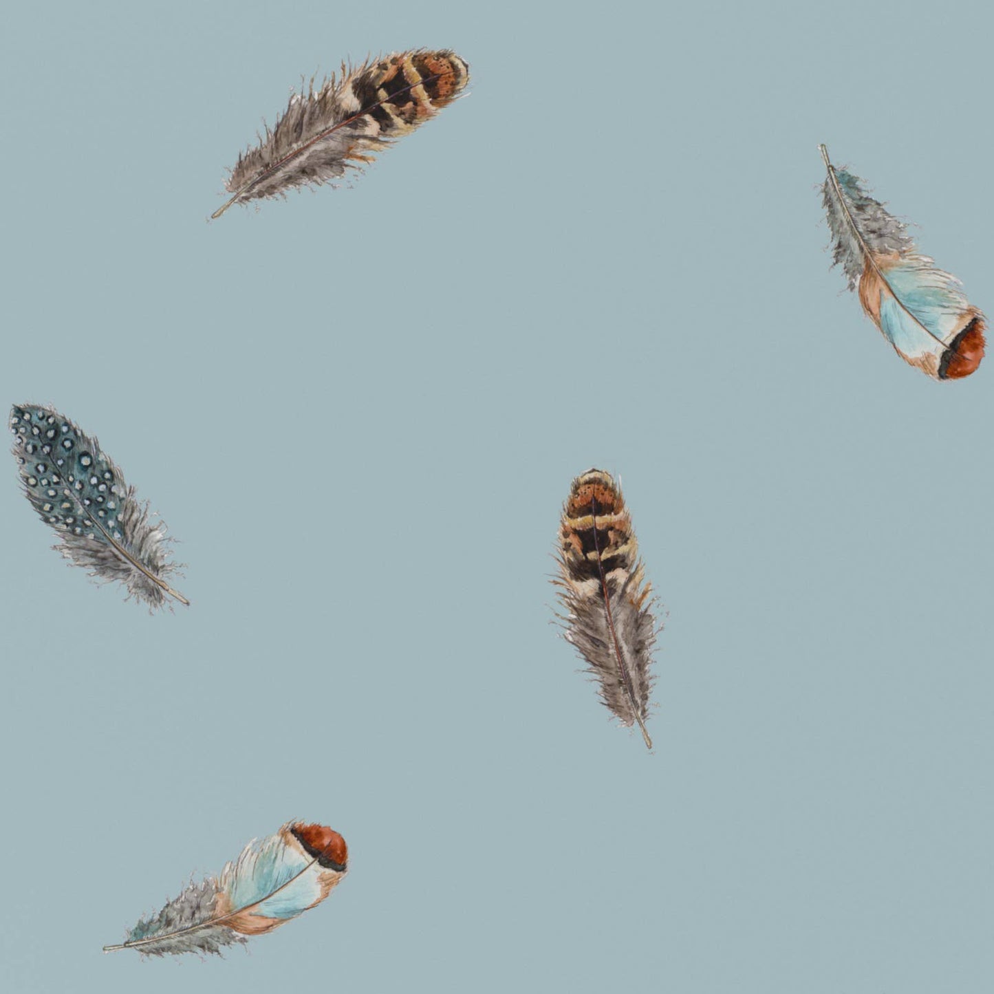 Blue Feathers Wrapping Paper • ECO Friendly • UK Made