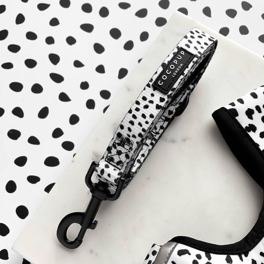 Cocopup Monochrome Spots Lead