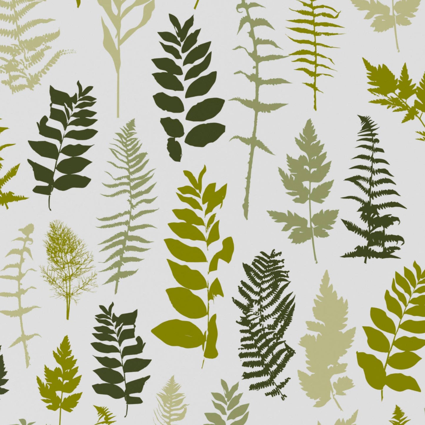 House Ferns  • ECO Friendly  • UK Made  • Made in the UK