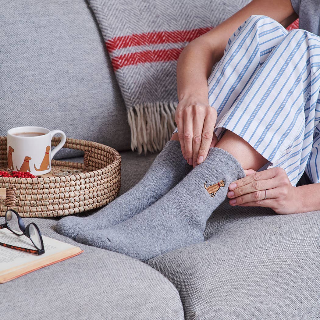 Dog Walking Socks - Fox Red Labrador