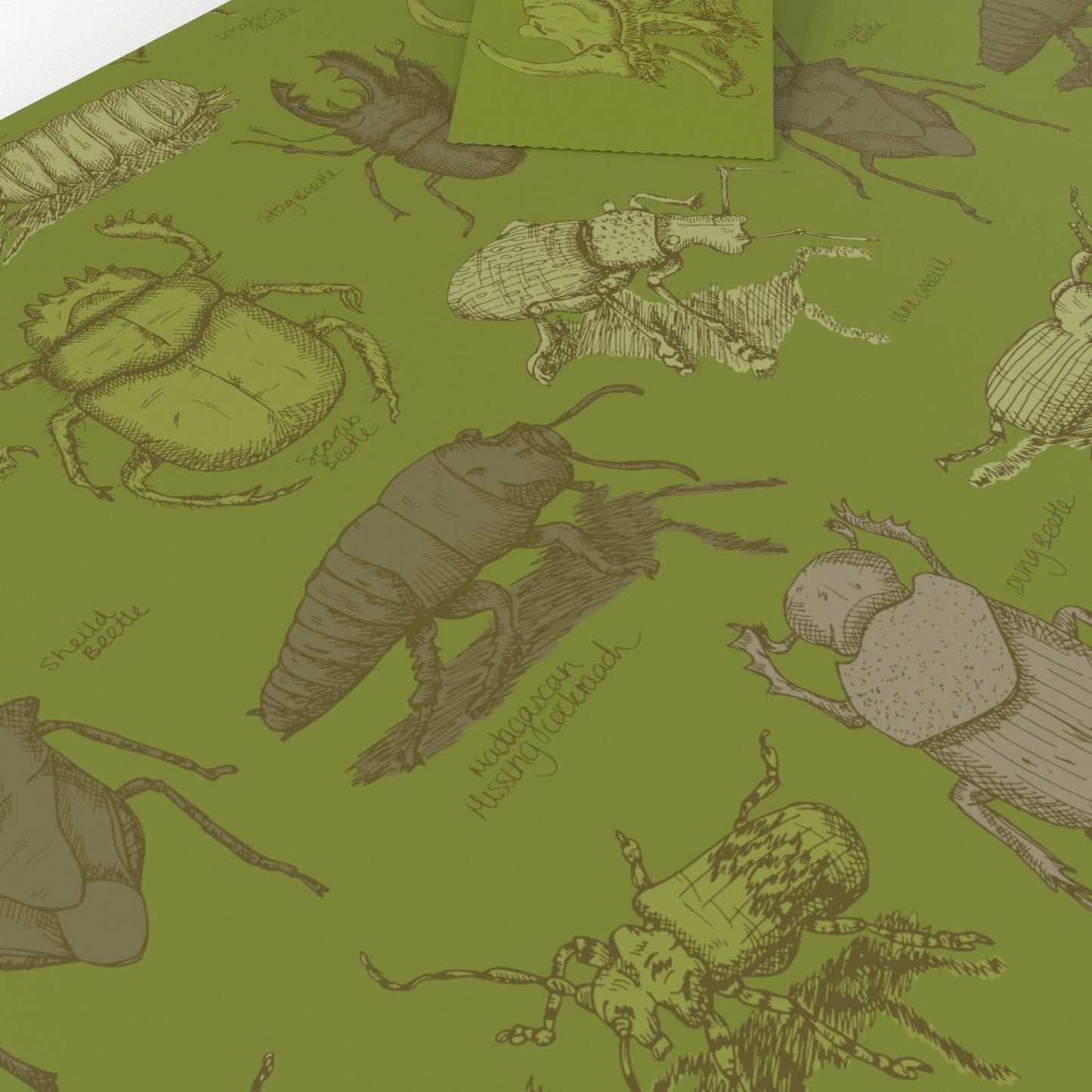 Green Beetles Wrapping Paper • ECO Friendly • UK Made