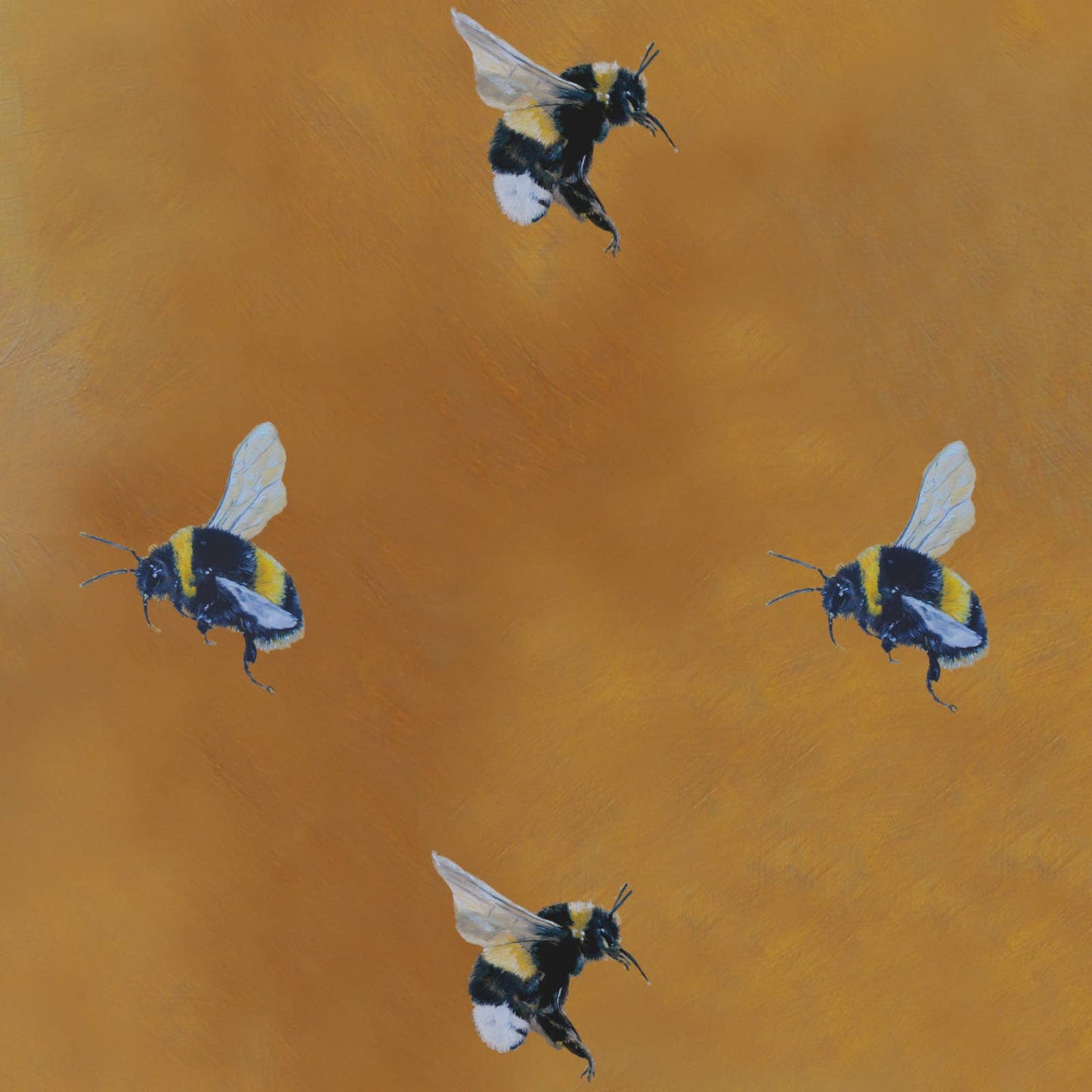 Oil Bumble Bee Wrapping Paper • ECO Friendly • UK Made