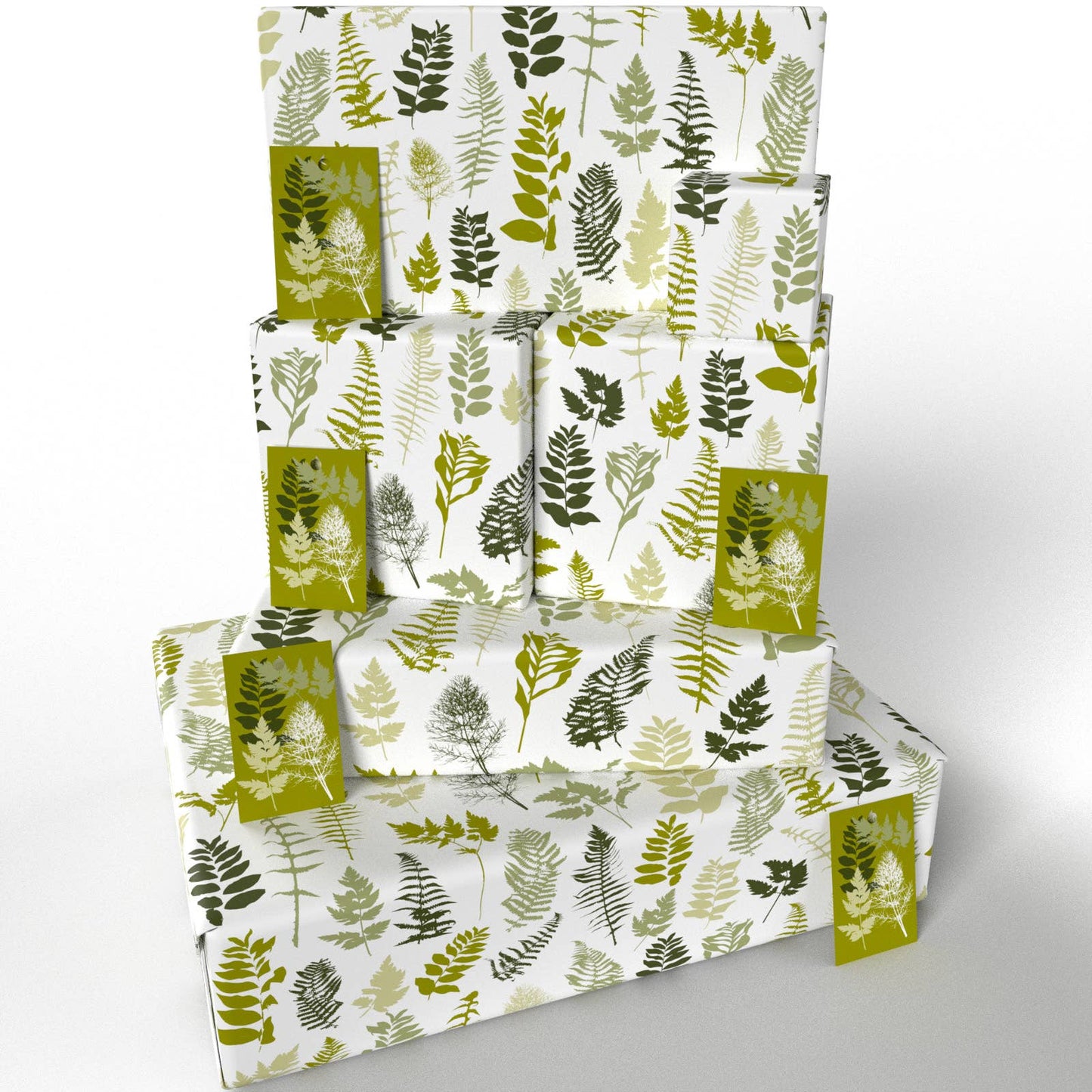House Ferns  • ECO Friendly  • UK Made  • Made in the UK