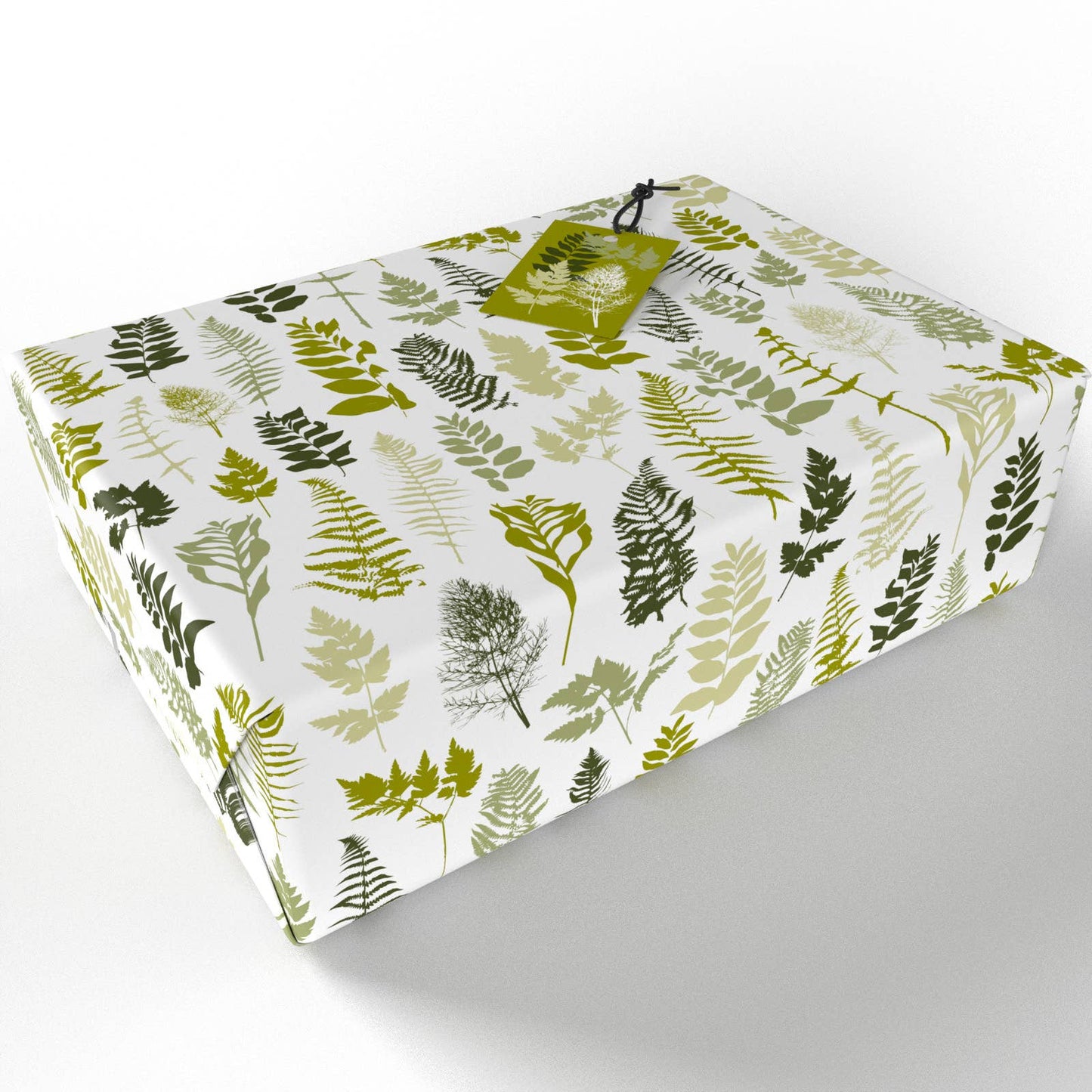House Ferns  • ECO Friendly  • UK Made  • Made in the UK