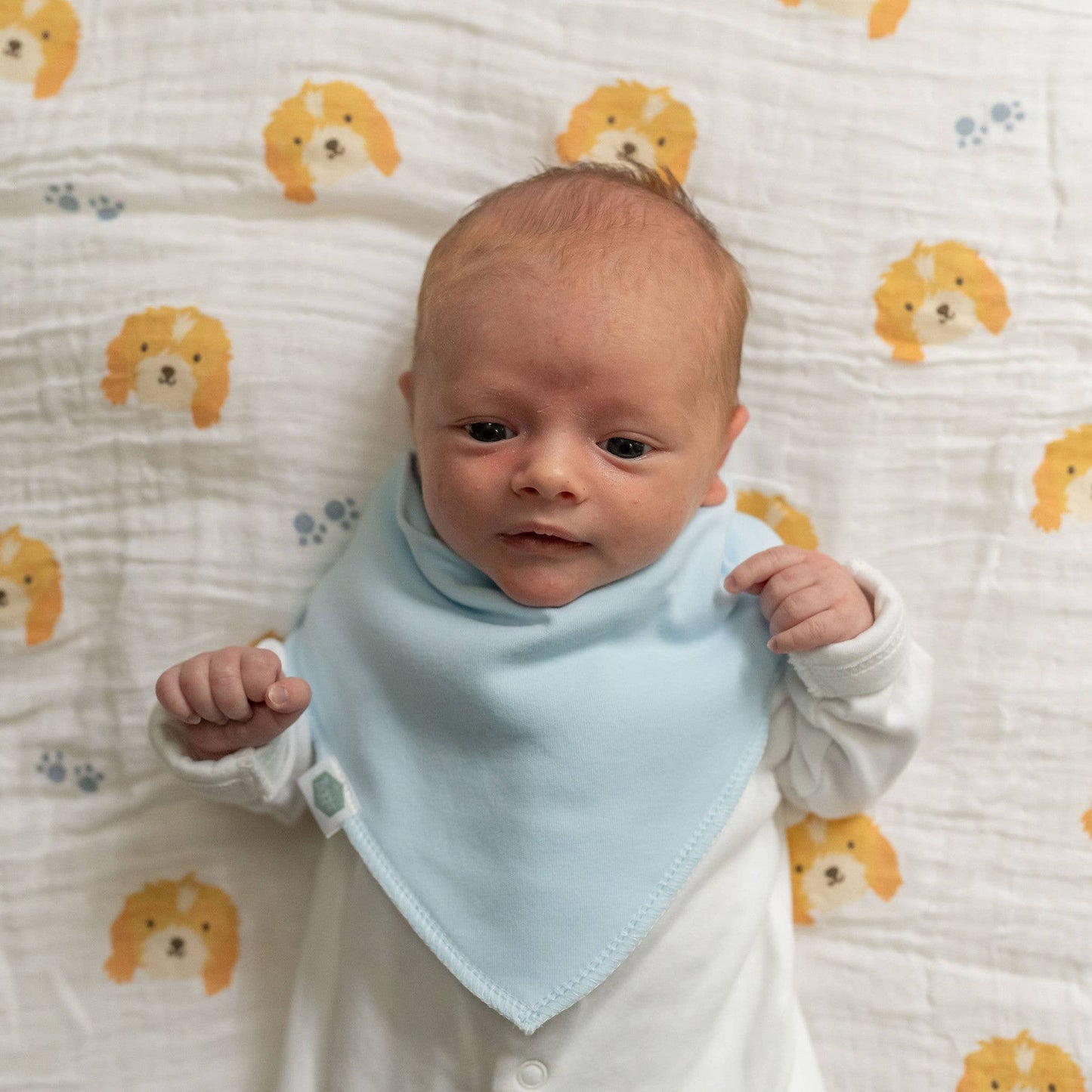 Driftwood Waves bib set