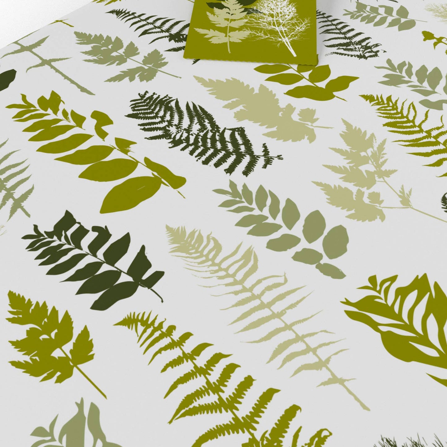 House Ferns  • ECO Friendly  • UK Made  • Made in the UK