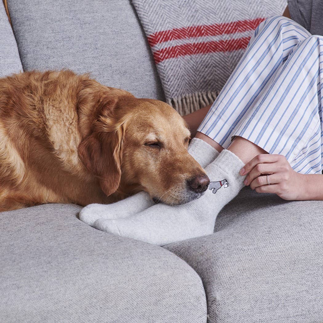 Dog Walking Socks - Grey Schnauzer