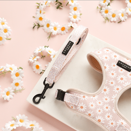 Cocopup Daisy Chain Lead